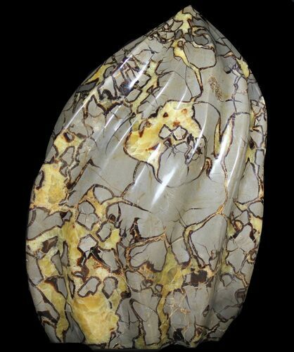 LB Polished Septarian Flame - US Shipping Included #39065